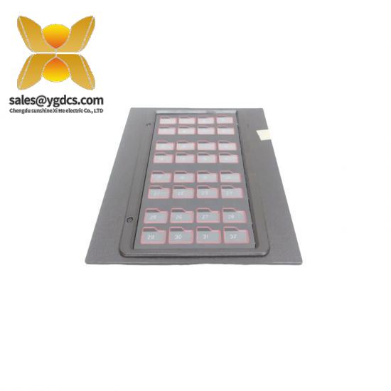 adp_adp-1_3.jpg 通用电气 ADP ADP-1 标准型 工业控制模块