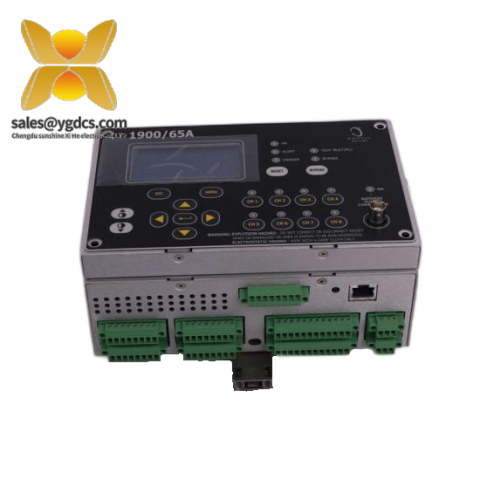 Bently Nevada 1900/65A 高精度振动监测模块