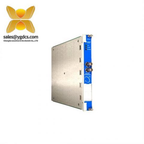 BENTLY NEVADA 330103-00-03-05-02-05 工业振动监测模块