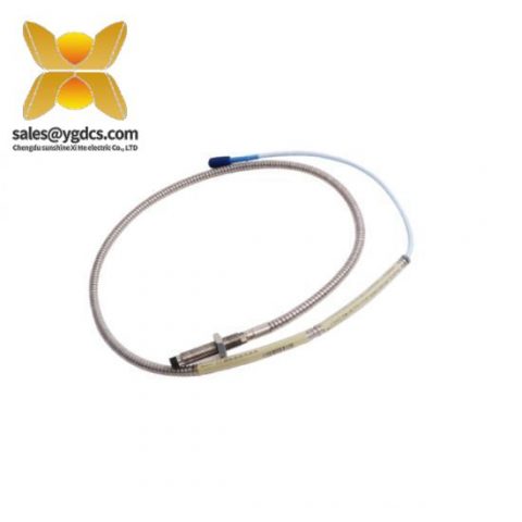 Bently Nevada 136188-02 通讯模块背板