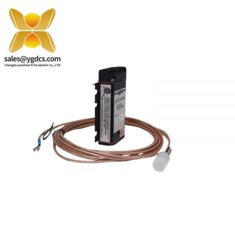 COEN ISCAN DSF-2000-UV 工业紫外线传感器