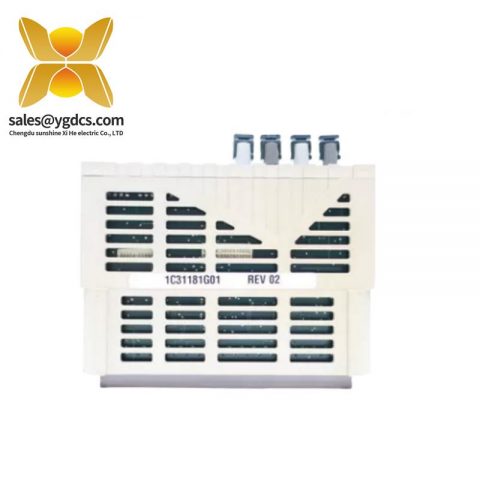 EMERSON 1C31181G01 工业控制模块