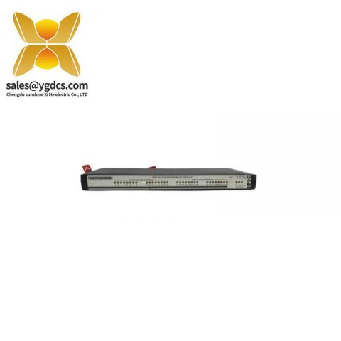 FISHER 01984-4080-0001 离散现场接口模块