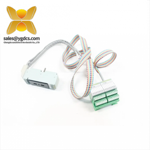 福克斯波罗 P0700WB 控制模块