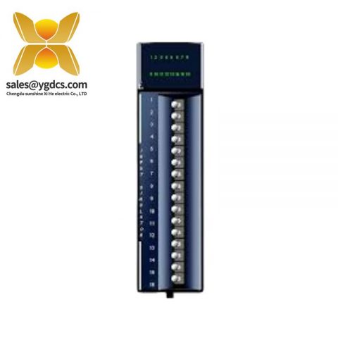 GE IC694ACC310 Fanuc 空槽填充模块