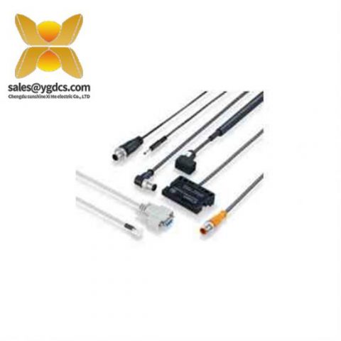 IFM AC5214 AS-Interface I/O 模块，经典系列，适用于工业自动化