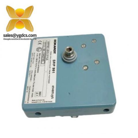 福克斯波罗SRP981-BIDMS1NA I/A系列模块