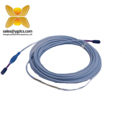 ProvibTech TM201-A02-B00-C00-000-E00-G00 振动监测模块