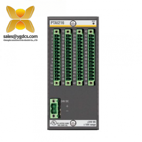 Bachmann PTAI216 温度输入模块