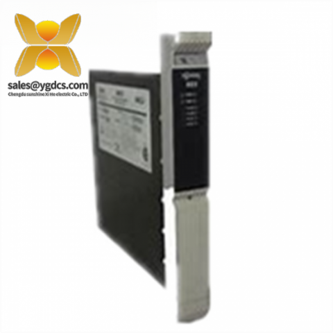 西门子 39ACM24BEN 16139-215/1 高级控制模块