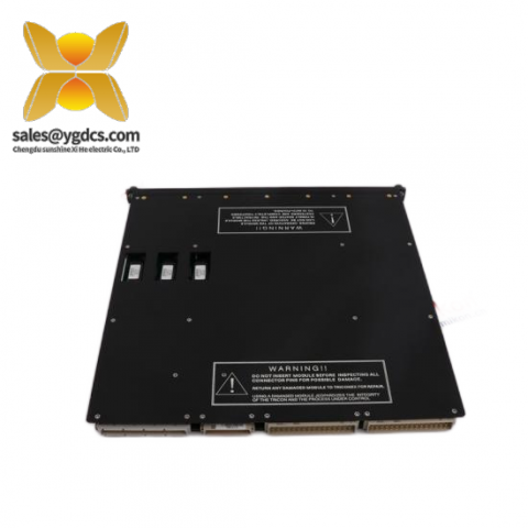 TRICONEX 3601E 控制模块,200字符以内