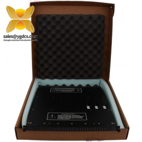 TRICONEX 9562-810 高精度工业控制模块