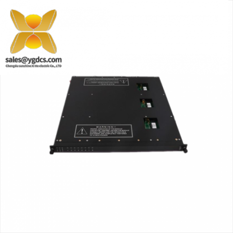 TRICONEX 9561-810 高可靠性冗余控制器模块