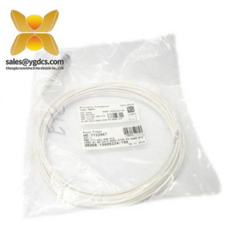 VIBRO 573-935-202C 数字信号处理器 模块