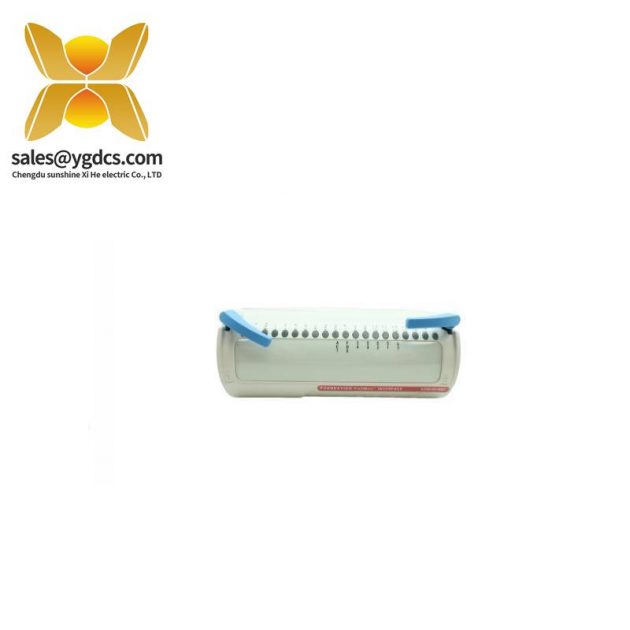 威士顿堡 5X00301G01 Foundation Fieldbus 接口模块