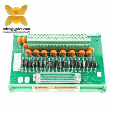 Woodward 5466-318 Micronet Timer Plus Kernel PS模块