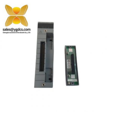 YOKOGAWA 雅马哈 AAI543-S03 S1 模拟输出模块