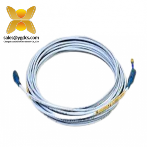 Bently Nevada 22811-01-06-10-02 高精度振动监测模块