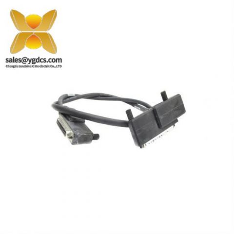 福克斯波罗 Foxboro P0916VL 终端电缆