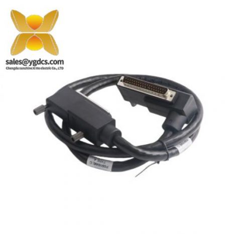 FOXBORO P0931RM 终端电缆