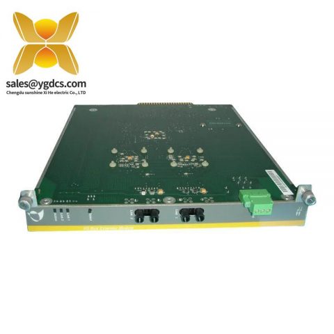 梅特索 IOP371 扩展模块