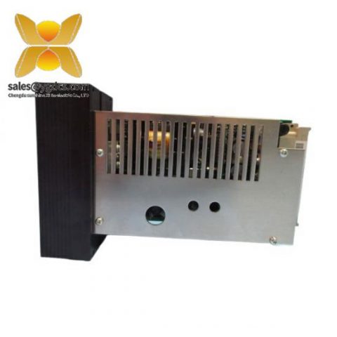 Neles自动化 A413325 电源模块