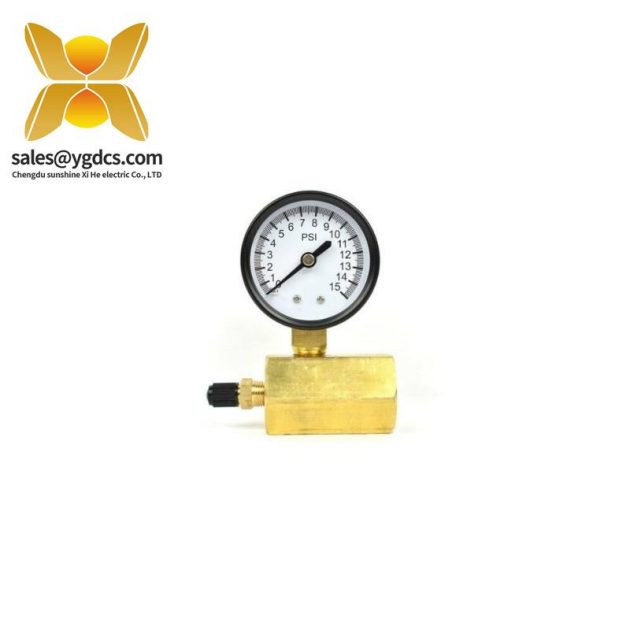 Thrifco Plumbing 8705TPE010S1W0N5 测压表, 275PSIG气体压力测试表