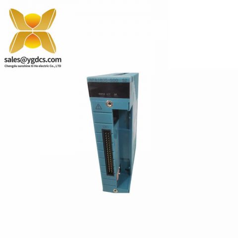 Yokogawa 雅科宝 AAR181-S03 温度输入模块