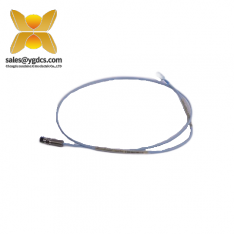 Bently Nevada 300103-A00-B09-C10-D02-E0 高精度振动监测传感器