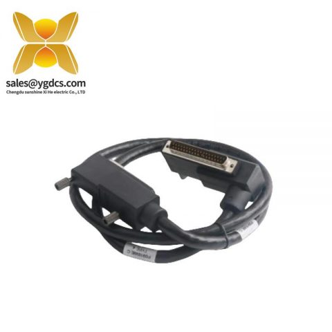 福克斯波罗 Foxboro P0916WE 终端电缆