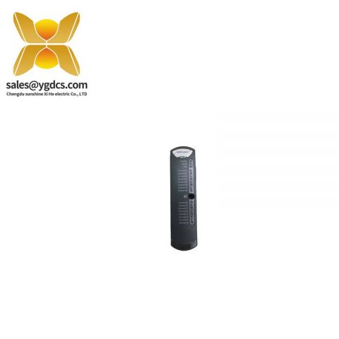 ICS Triplex T9902AAdvance 20 替换保险丝 10A