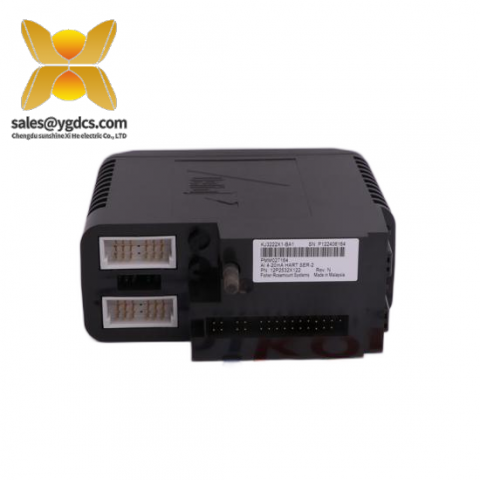 Emerson DeltaV WH1-2FF 1X00024H01 控制模块