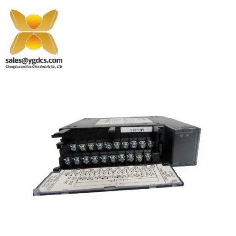 GE Fanuc IC693MOL645 GE PAC Systems RX3i 输入模块