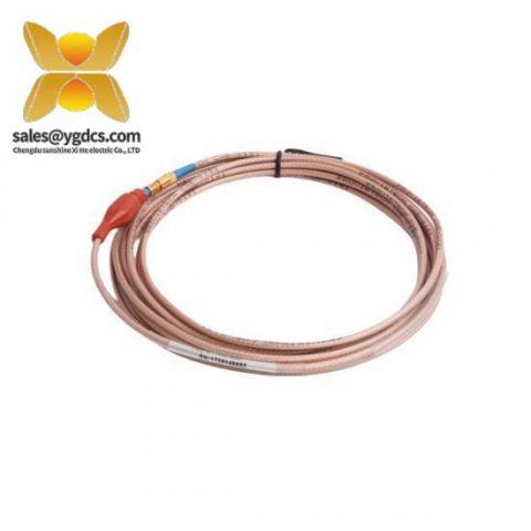 Bently Nevada 高精度振动传感器延长电缆 TM0181-A40-B00