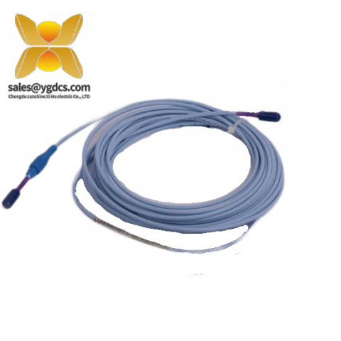 Bently Nevada 330106-05-30-15-02-00 高精度振动监测传感器