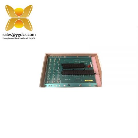 GE通用电气 DS3800XVIA1A1 电压指示器