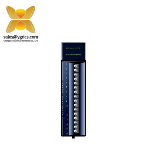 GE发那科 IC694ACC310 充填模块