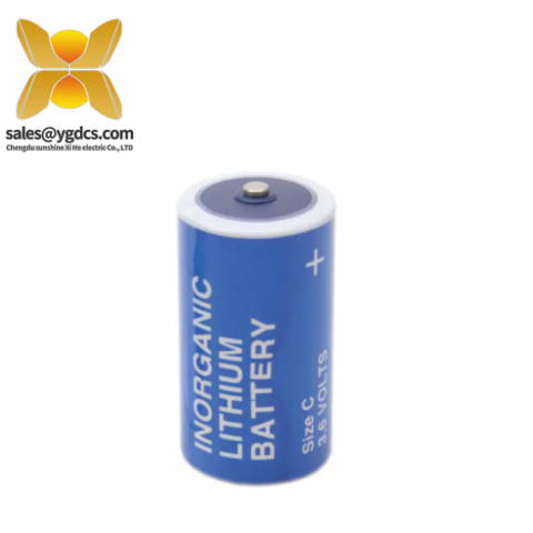 西门子 6EW1000-7AA 锂电池 工业控制电源模块